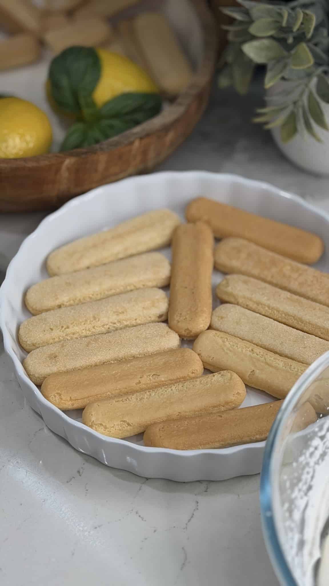 lady fingers for tiramisu