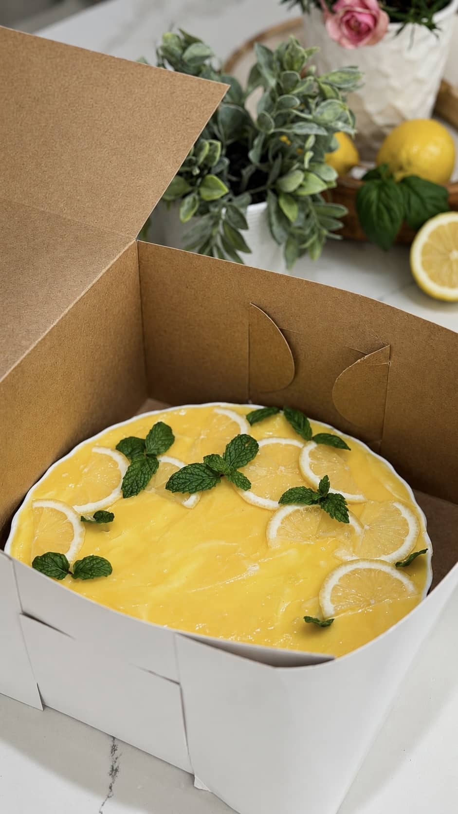tiramisu storage