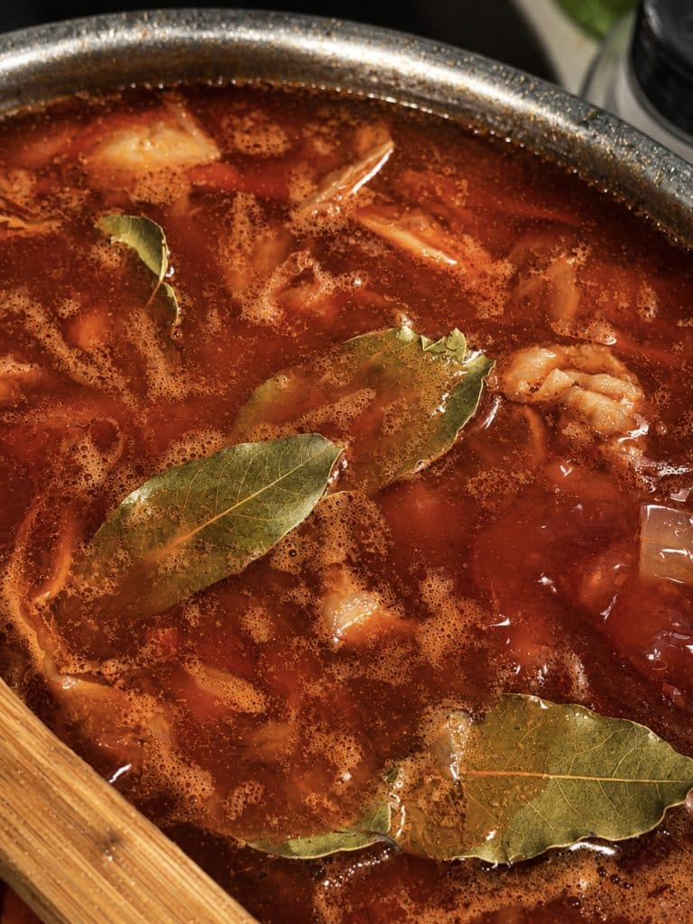 A bowl of authentic Eastern European pork borscht with tender pork,